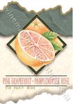 Pink Grapefruit Wine Label